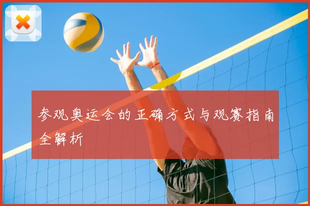 参观奥运会的正确方式与观赛指南全解析
