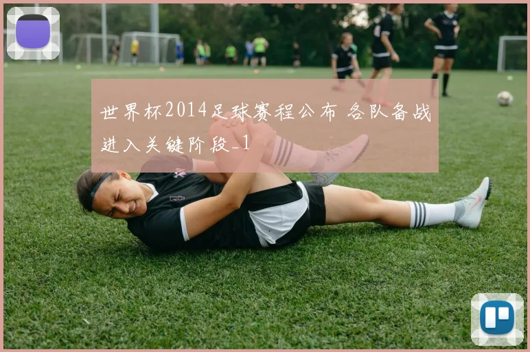 世界杯2014足球赛程公布 各队备战进入关键阶段_1