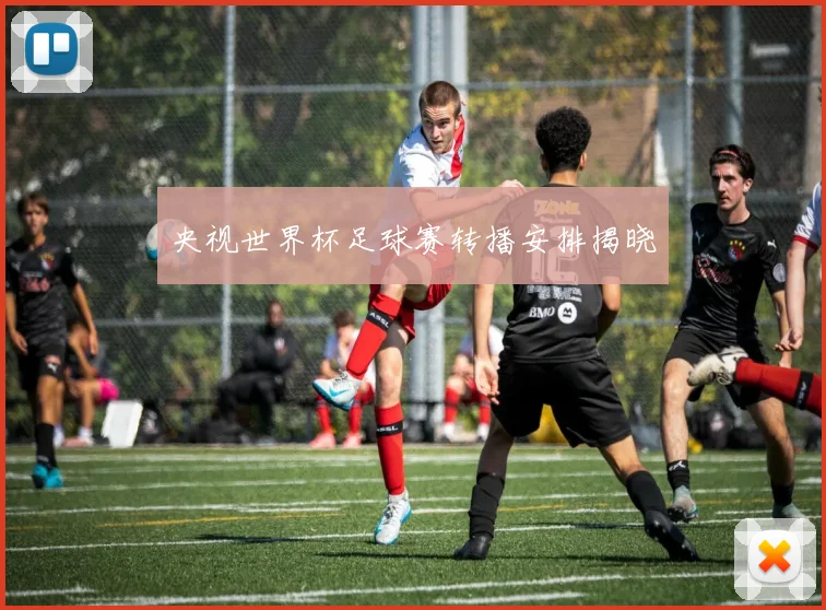 央视世界杯足球赛转播安排揭晓