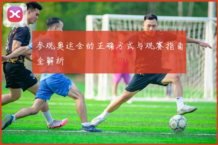 参观奥运会的正确方式与观赛指南全解析