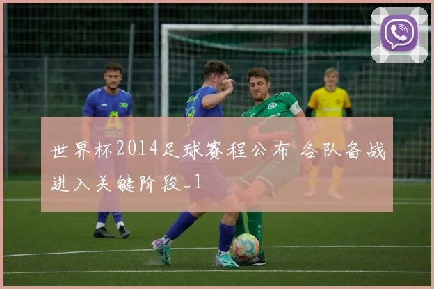 世界杯2014足球赛程公布 各队备战进入关键阶段_1