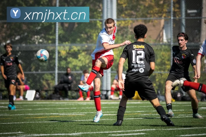 App Interface Preview